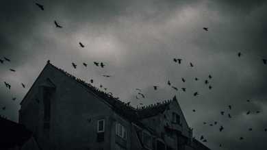 Guess the Horror Film from the Reg