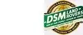 DSM Independent Land Rover