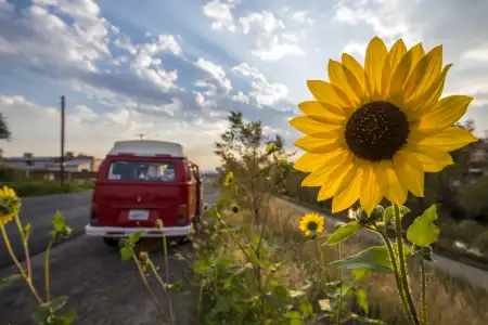 10 Cool Camper Vans