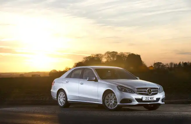 Best 16 Plate Deals