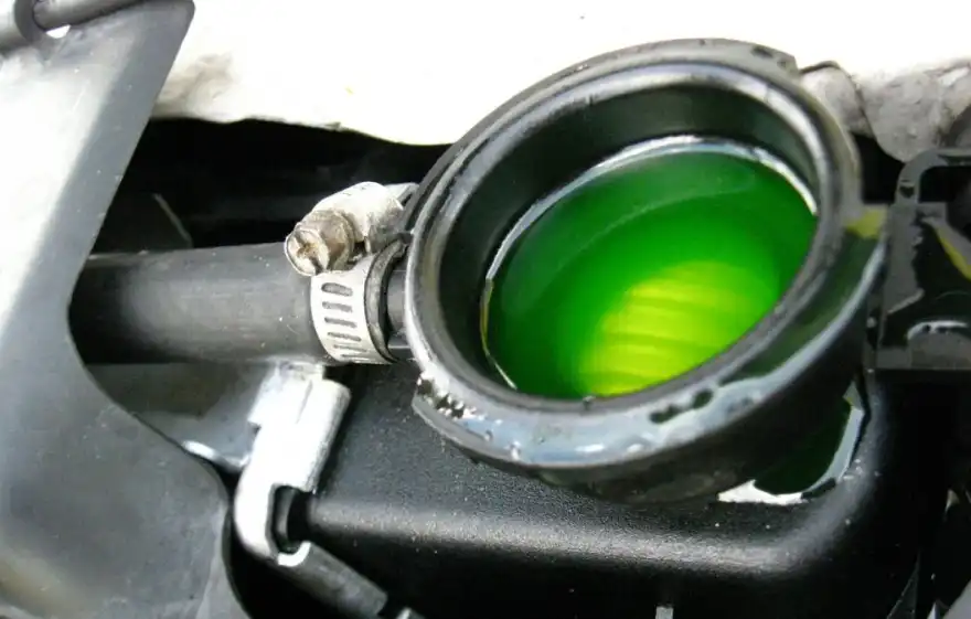 Check Antifreeze