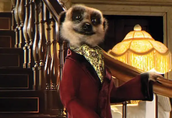 Aleksandr Orlov the Meerkat