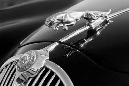 Jaguar Through the Years