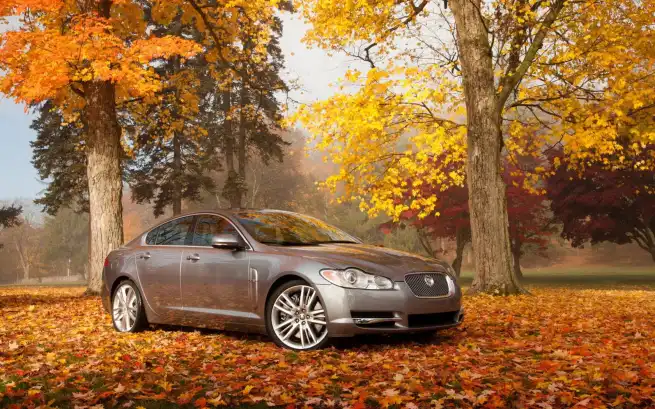 Autumn Driving Tips