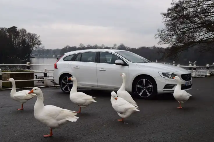 Volvo V60 Estate