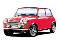 Rover Mini