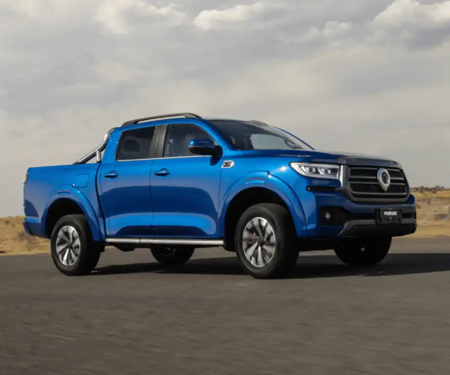 GWM Poer300