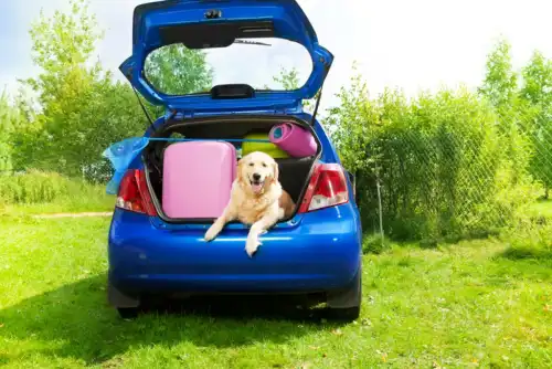 7 Family Hatchbacks With The Biggest Boots
