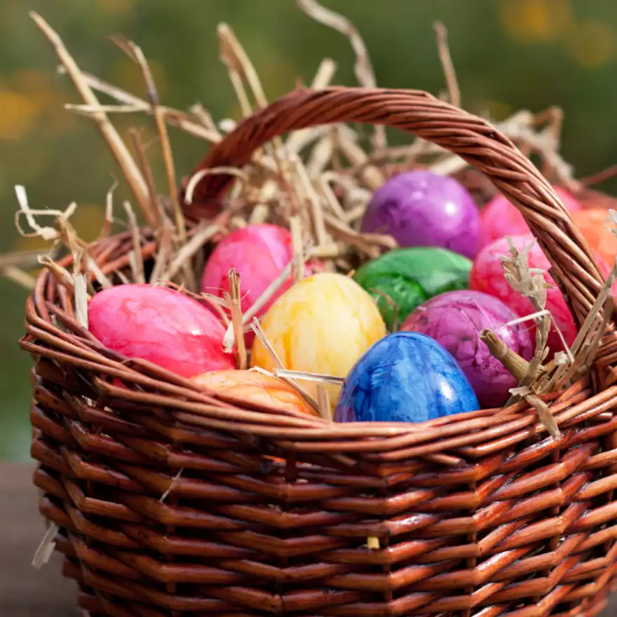 Cadburys Easter Egg Hunt