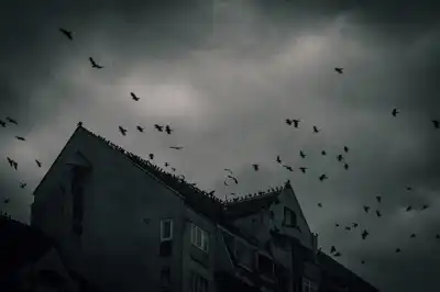 Guess the Horror Film from the Reg