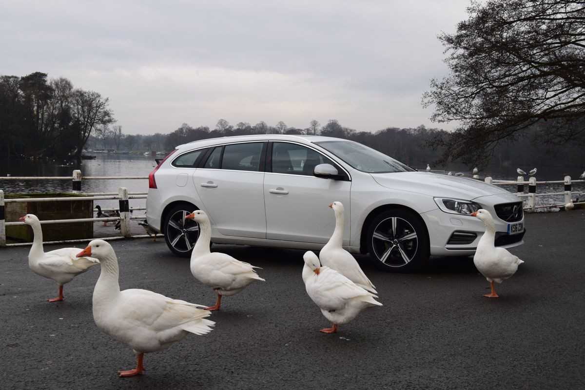 Volvo V60 Estate (2011 - 2018) Review
