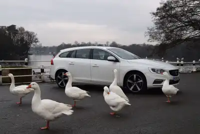 Volvo V60 Estate (2011 - 2018) Review