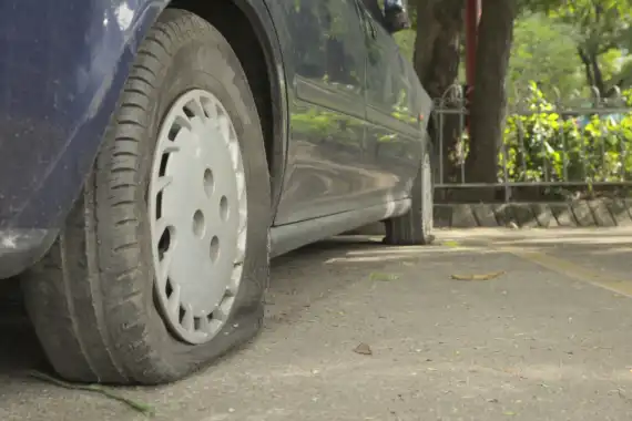 Got a Question About Your Car? Just Regit Image 21