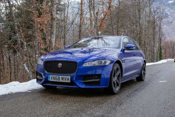 Driving with a Big Cat out in the Snow Image 3