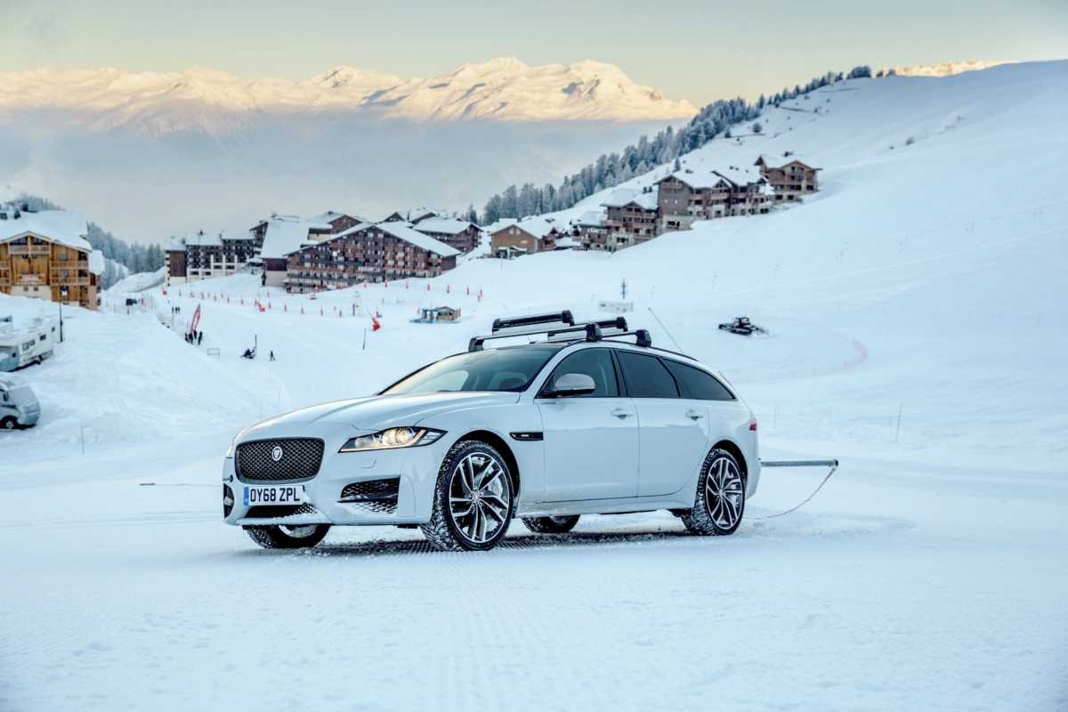 Driving with a Big Cat out in the Snow