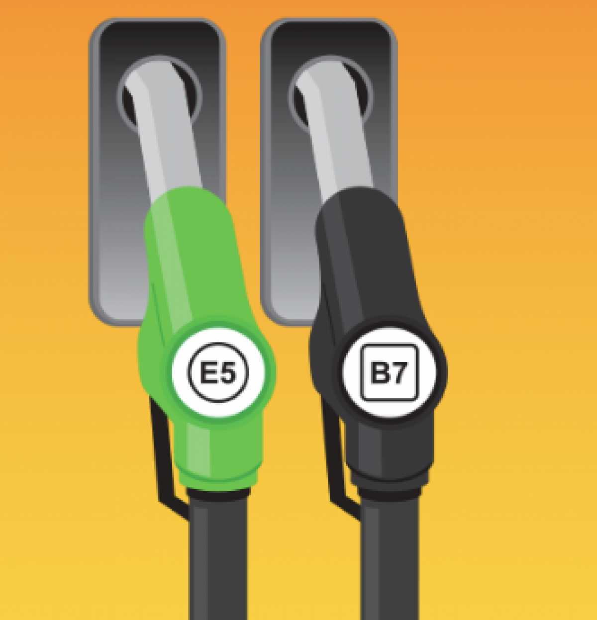 Government Launches Website to Publicise Fuel Labelling Changes