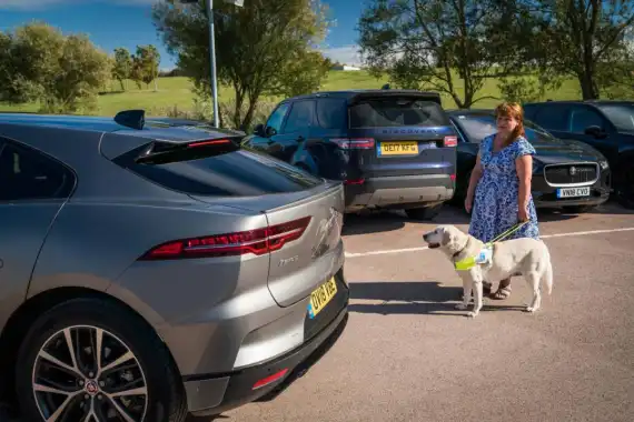 New Electric Car Law Introduced to Protect Pedestrians Image 2