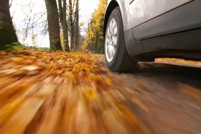 7 Autumn Driving Tips