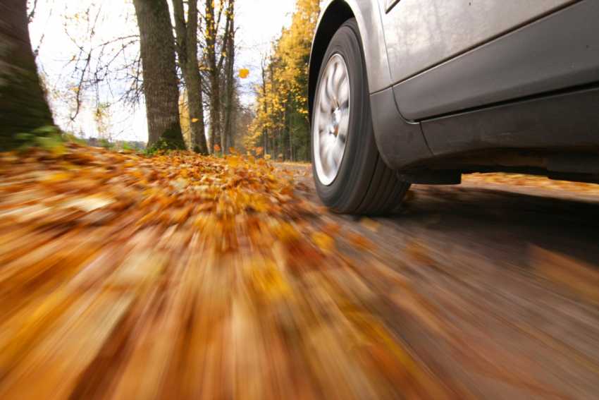 7 Autumn Driving Tips