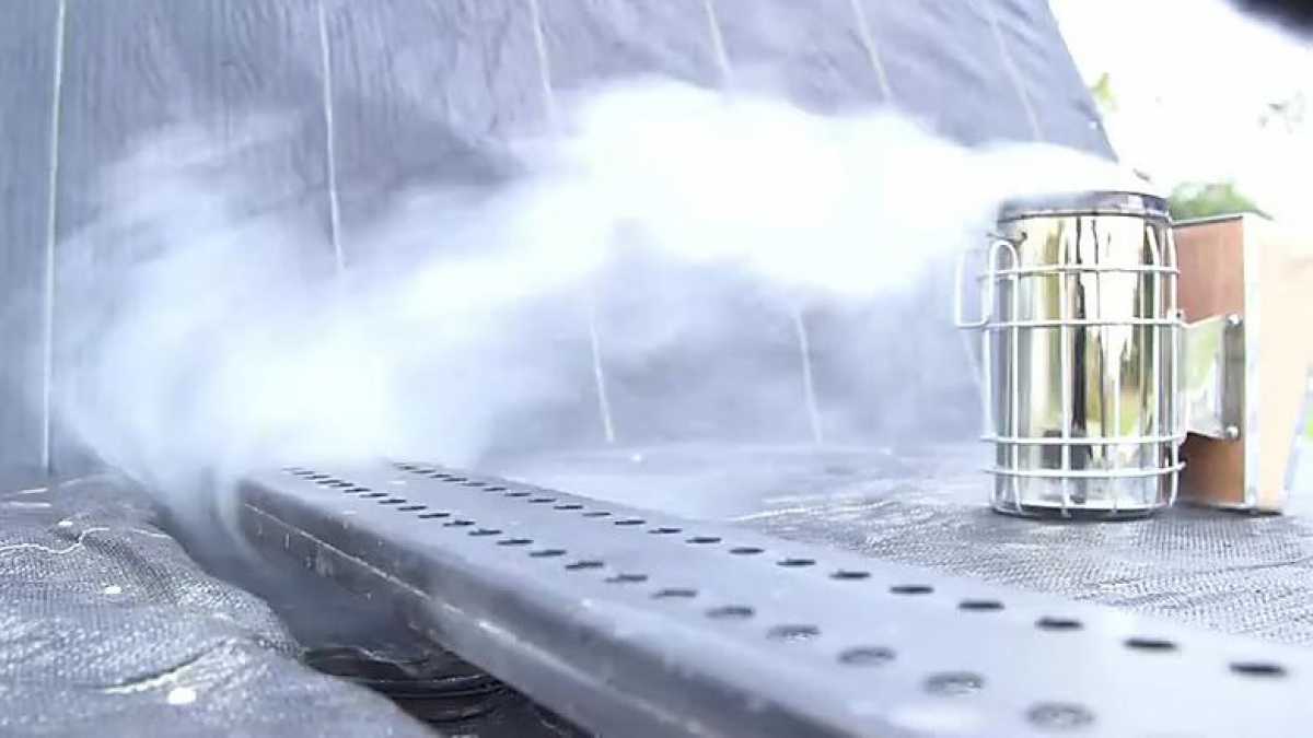 New System Buried in Roads Could Slash Traffic Pollution