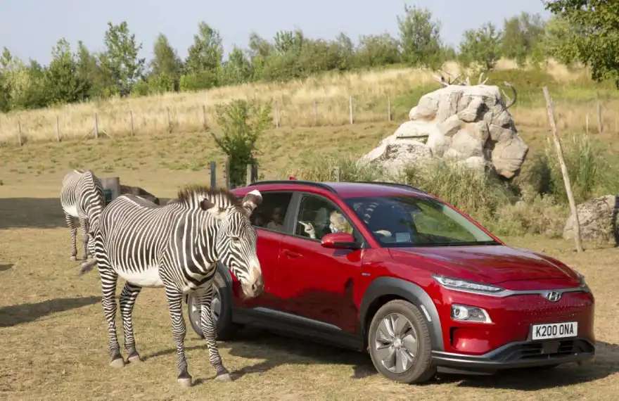 Almost Half of Parents Are Too Cautious to Enjoy Family Days Out - Hyundai Want to Change That