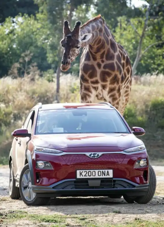 Almost Half of Parents Are Too Cautious to Enjoy Family Days Out - Hyundai Want to Change That Image