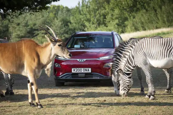 Almost Half of Parents Are Too Cautious to Enjoy Family Days Out - Hyundai Want to Change That Image