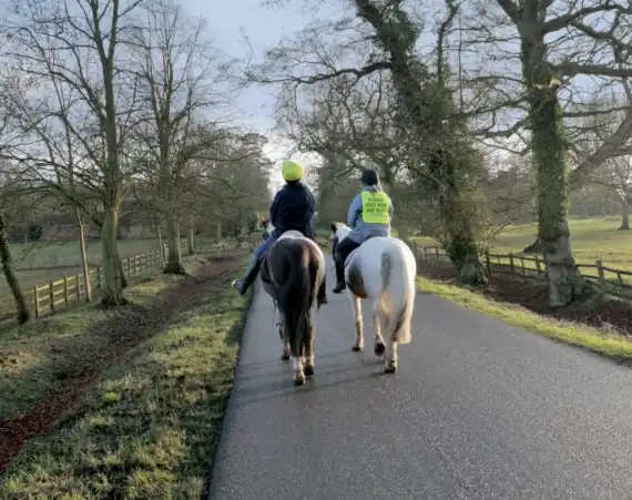 New Highway Code Rules Might Cause Conflict, Safety Charity Warns Image