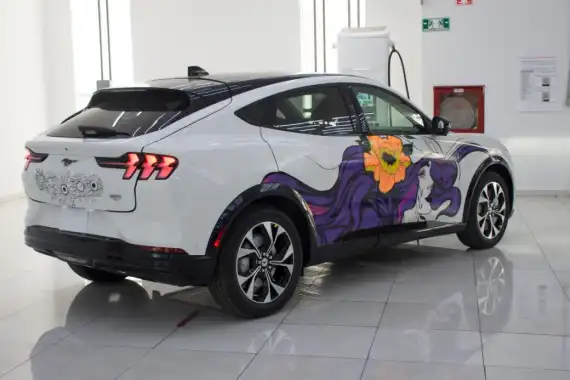 Women on the move in the motoring world Image