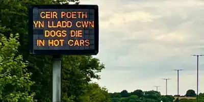 Owners told pets will easily overheat in scorching temperatures as police smash window to free a dog