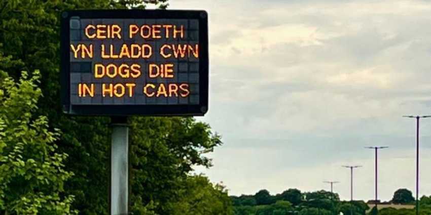 Owners told pets will easily overheat in scorching temperatures as police smash window to free a dog