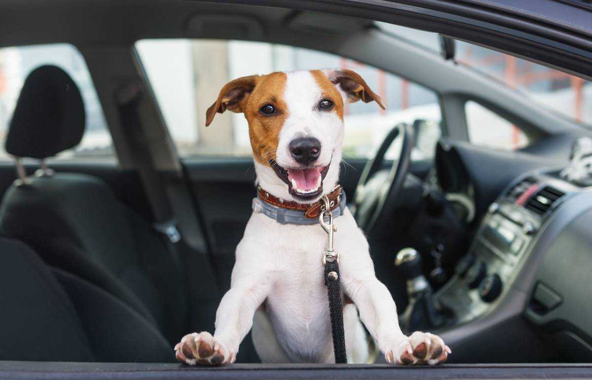 Unusual driving offences in the UK: beware of fines