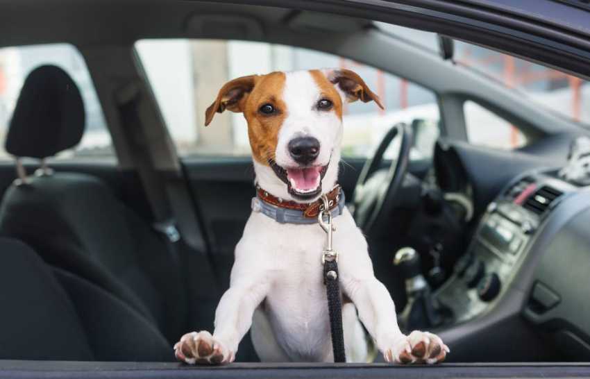 Unusual driving offences in the UK: beware of fines
