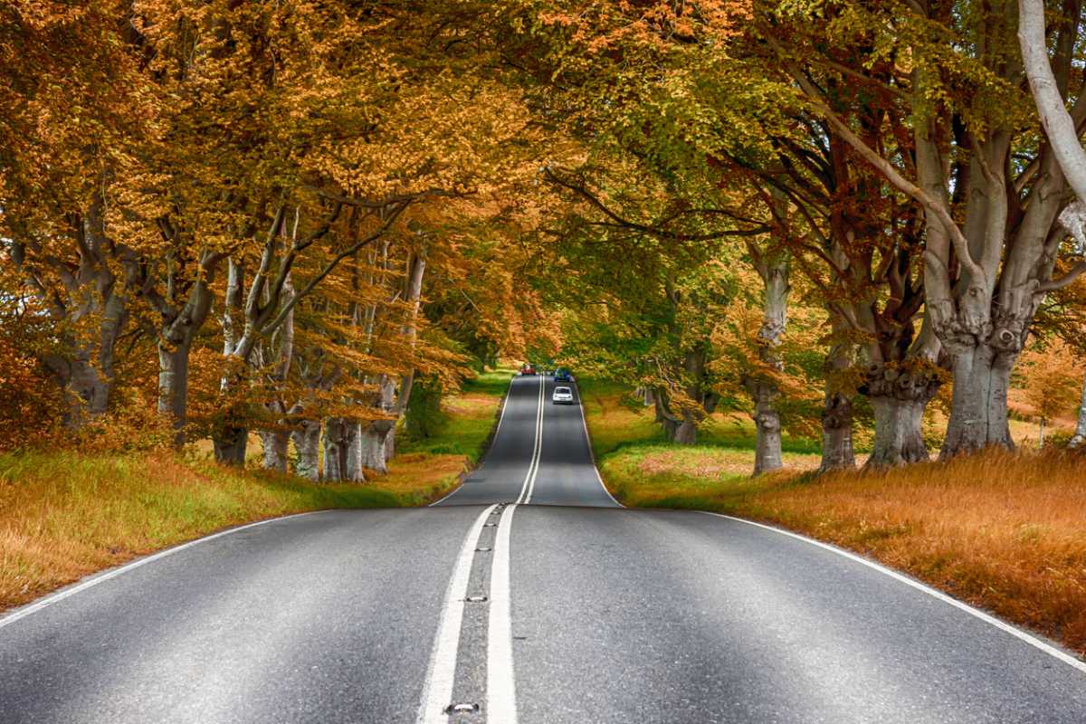 How to avoid a breakdown this autumn