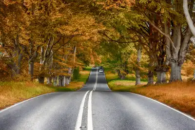 How to avoid a breakdown this autumn