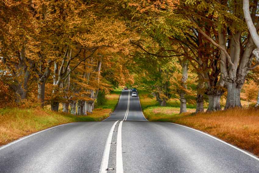How to avoid a breakdown this autumn