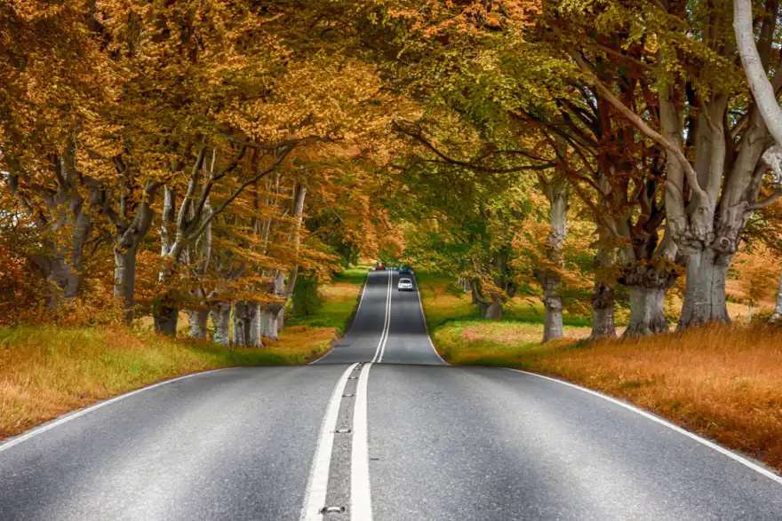 How to avoid a breakdown this autumn