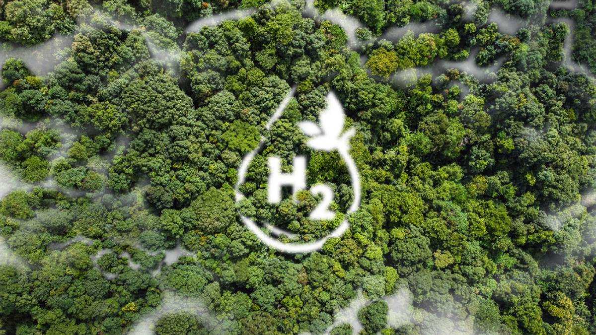 Hydrogen: your car's future fuel?