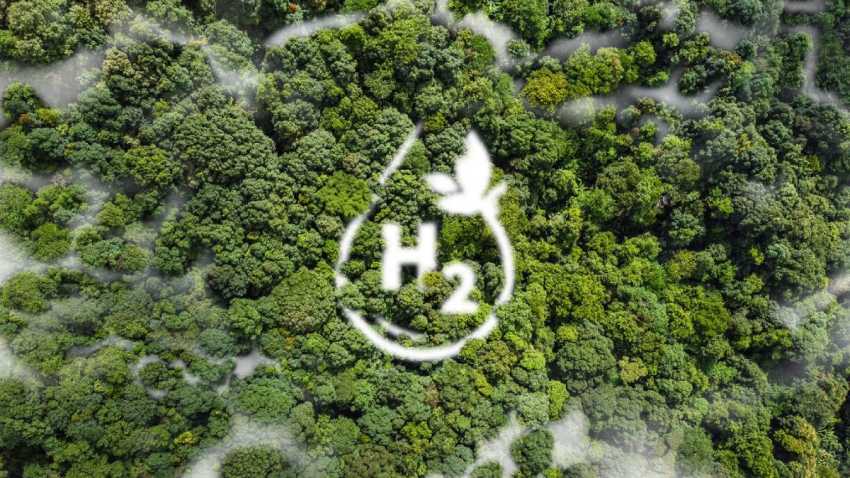 Hydrogen: your car's future fuel?