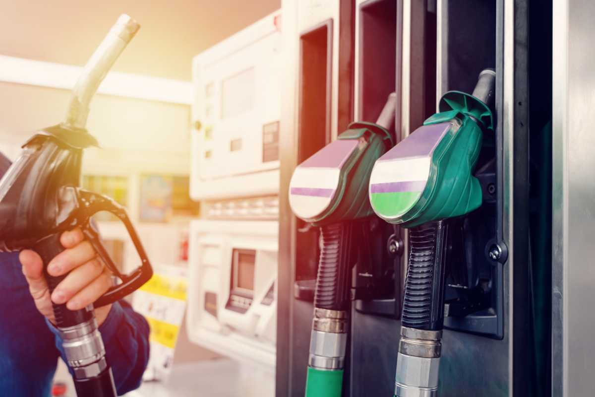 Government set to ease 2030 petrol car ban