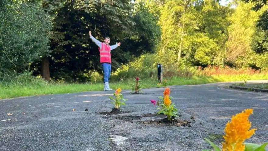 Landscape Gardener Goes Viral on TikTok for Planting Flowers in Potholes