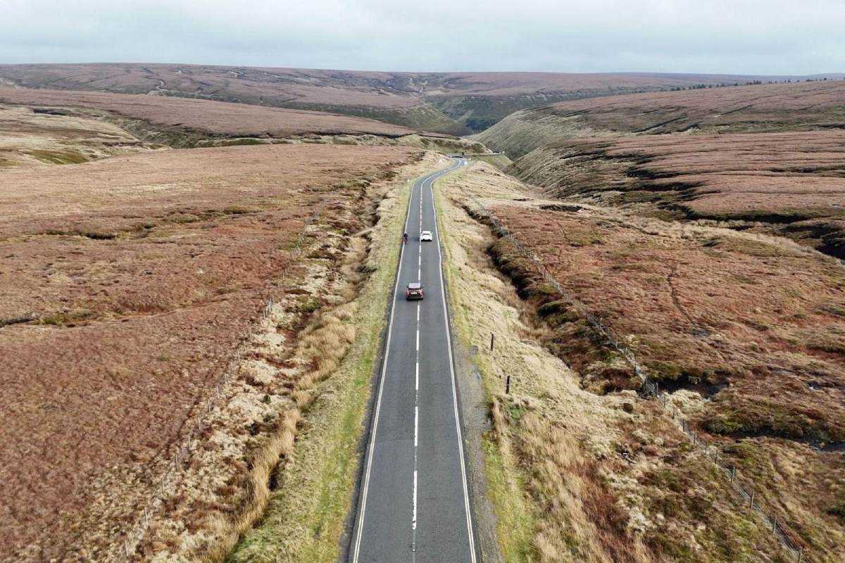 Could Snake Pass Close to Cars Forever?