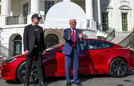 Cars sold fastest - Tesla tops the list again, but classic brands show long-term loyalty