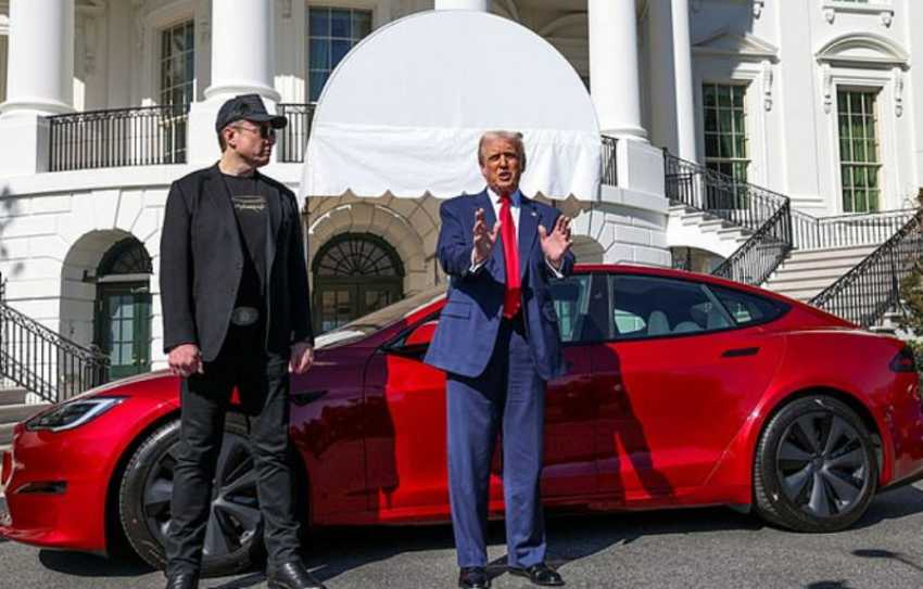 Cars sold fastest - Tesla tops the list again, but classic brands show long-term loyalty