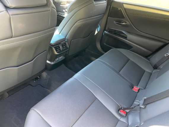 Lexus ES F Sport Takumi Pack