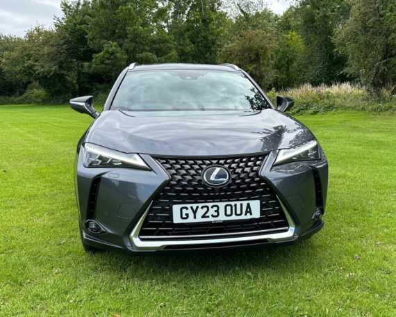 Lexus UX 300e