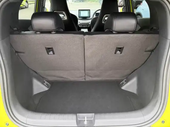 BYD Dolphin Surf