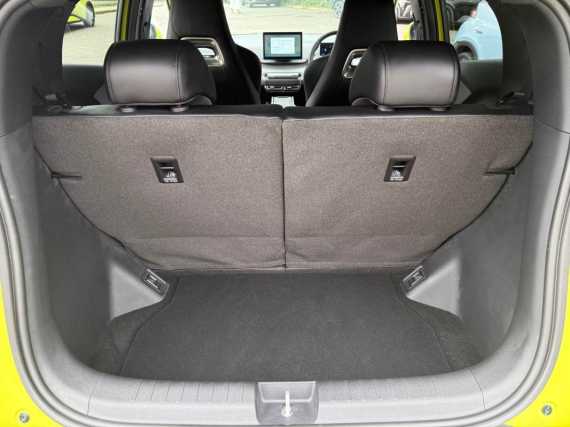 BYD Dolphin Surf
