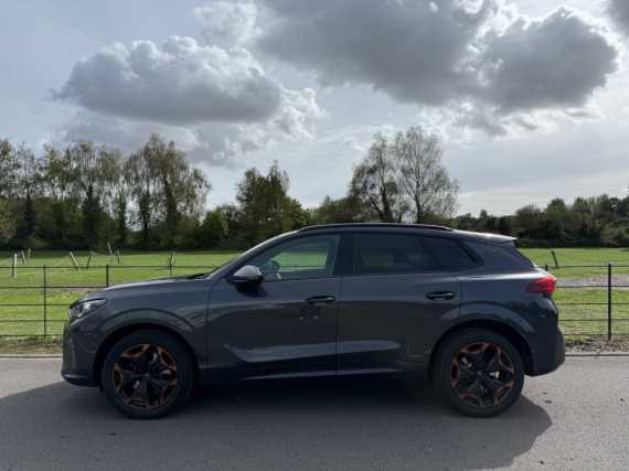 Cupra Terramar