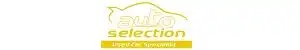 Auto Selection Ltd